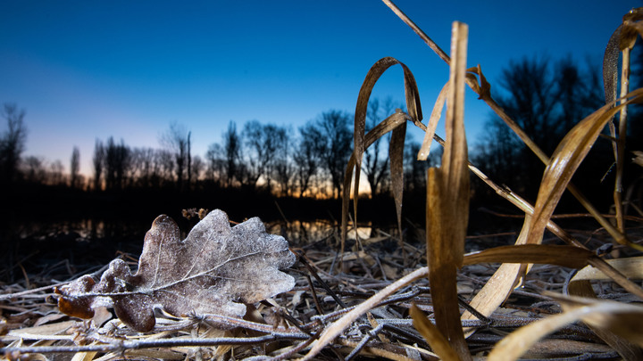 Виновата не природа: Эксперт объяснил, с чем связан ущерб от наводнений в России