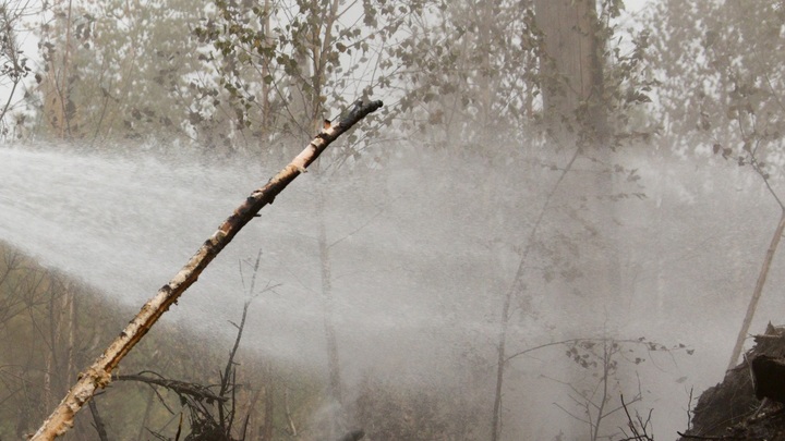 Кинбурнская коса в дыму: ВСУ обстрелами подожгли заповедник