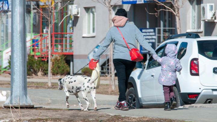 Должников по алиментам в России вывесят на доску позора: Вымученную меру раскритиковала эксперт