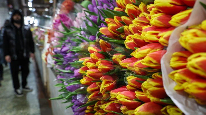 Красивые открытки на 8 Марта. Авторские. Скачать оригинальные открытки. Открытки без надписей