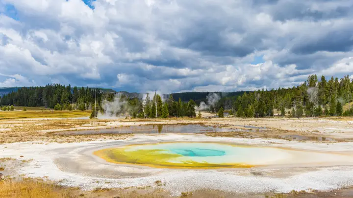 Древние микроорганизмы пробудились после землетрясения в Йеллоустоне