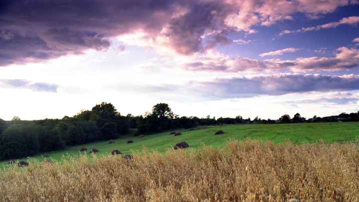 Какие праздники отмечают 7 мая 2025-го: Что можно и нельзя делать. Приметы, традиции, православная память