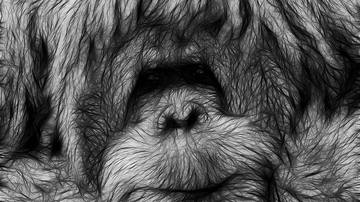 Учёные: массовое вымирание животных происходит быстрее, чем ожидалось