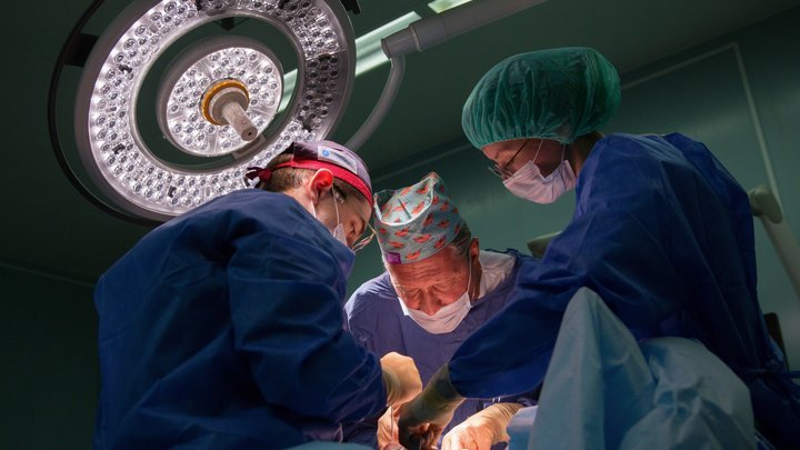 Волонтёр Дарья Торн умерла от инсульта в возрасте 19 лет в Новосибирске