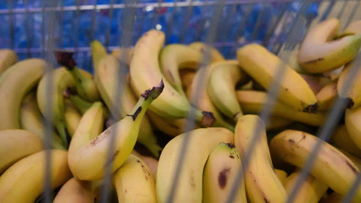 В России будут свои бананы: фрукт официально признали сельхозпродукцией