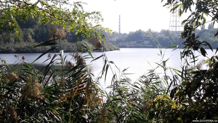 В Краснодаре мужчина спас тонущих в Карасунах мальчика и маму