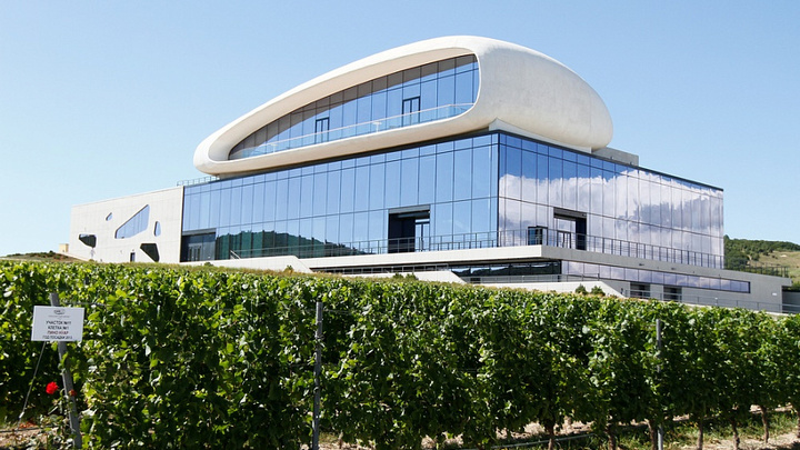 В Анапе для гостей и туристов открыли гравитационную винодельню