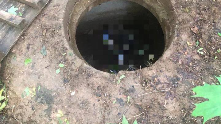 Тело 11-летнего мальчика с ножевыми ранениями нашли в коллекторе в парке Москвы