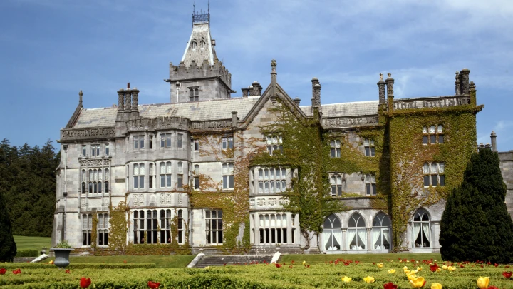 796 погибших детей: в Ирландии вскрывают массовое захоронение при приюте