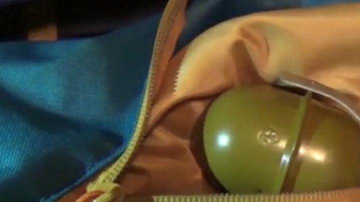 Депутат ФРГ раскритиковал Зеленского за требование поставить кассетные бомбы: Это ошибка