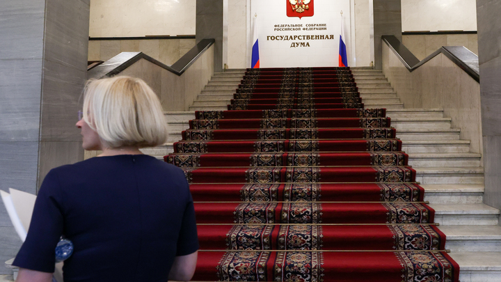 В Госдуму внесли пять законопроектов о незаконной миграции