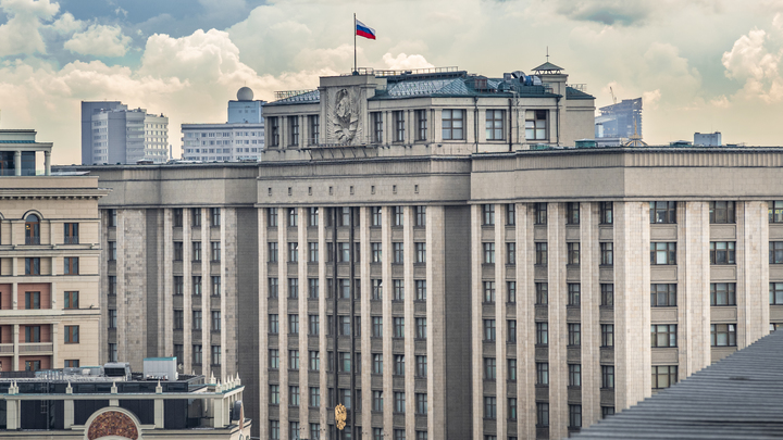 В духе Платошкина: Безобразную драку депутатов расценили как знак перед выборами в Госдуму