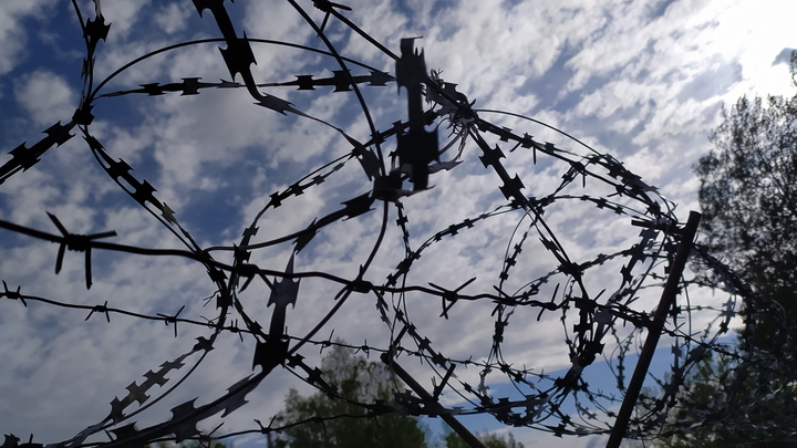 Новосибирским полицейским может грозить реальный срок после убийства 17-летней девушки