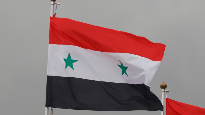 В Сирии назвали враждебной политику Запада по отношению к Белоруссии