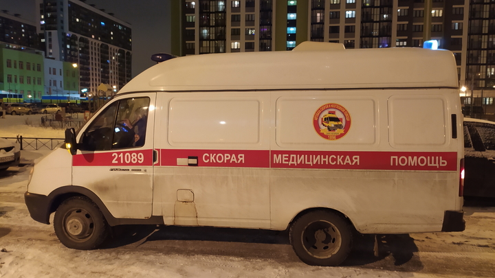 Водитель и пассажирка ВАЗа погибли при столкновении с фурой в Новосибирской области
