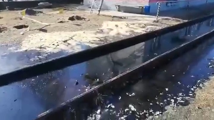 Видео: три тонны мазута разлилось на железнодорожных путях в Ленобласти