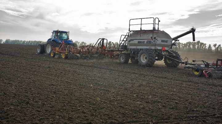 В Краснодарском крае завершили сев подсолнечника и сахарной свеклы