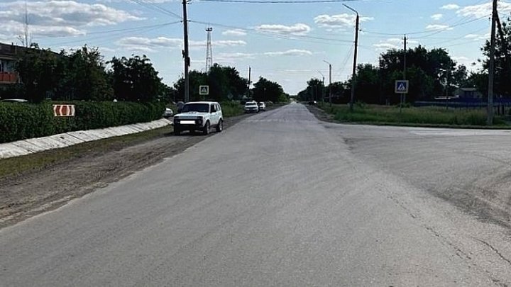 В Ростовской области водитель отечественной Нивы сбил двух маленьких девочек на зебре
