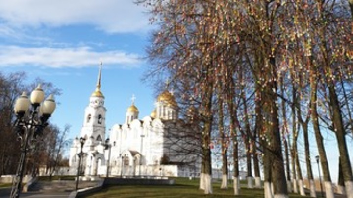 Во Владимире в третий раз расцвело пасхальное дерево