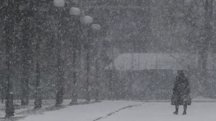 Циклон «Фрэнсис» обрушил на Москву аномальный снегопад, отменены десятки рейсов