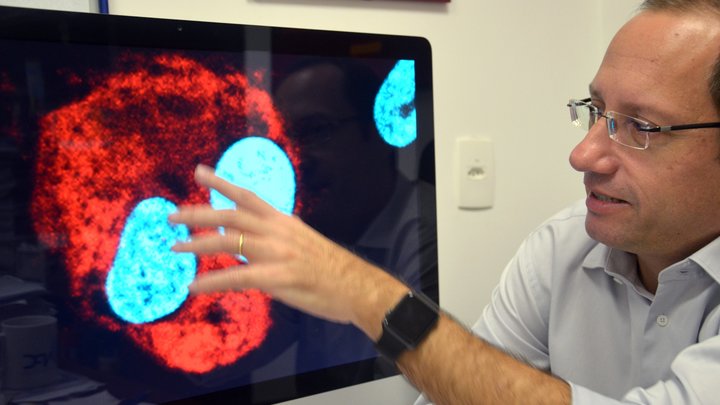 Вирус Зика вернулся: Граждан России предупредили об опасности заграничных поездок