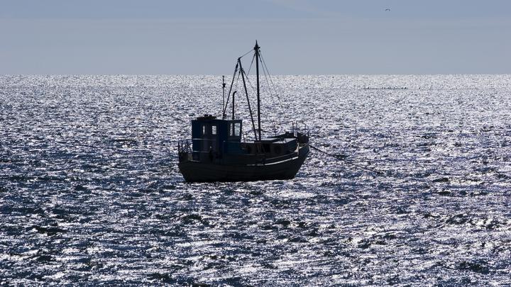 Лодки браконьеров - на фронт: Астраханская область отозвалась на клич военкоров