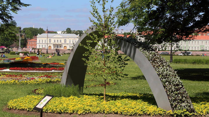 Университетские смены: Для детей из ДНР и ЛНР готовят насыщенную летнюю программу