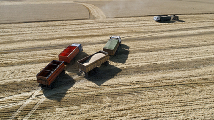 Только цифры. Зерновая сделка оказалась большим надувательством