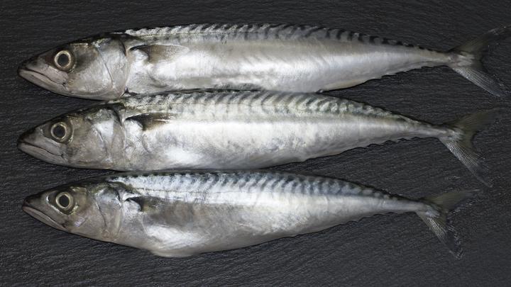 Откуда взять витамин D: Диетолог составил подробный список