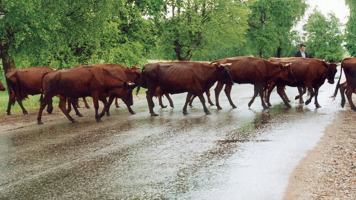 Правительство России обещало новые льготы аграриям