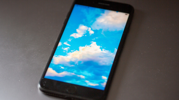 Twitter снял ограничения с записи Медведева о русофобах Польши