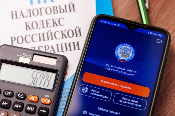 В Госдуме напомнили родителям об уплате налогов за детей до 2 декабря