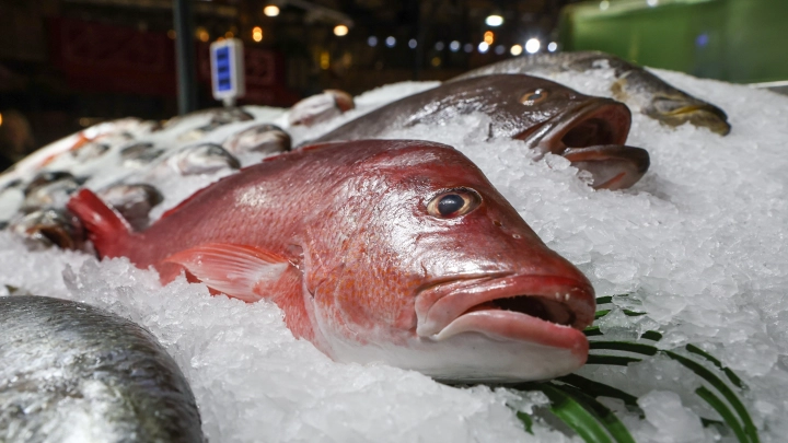 Можно ли есть рыбу после ЧП с танкерами в Чёрном море? В Роспотребнадзоре озвучили результаты исследований