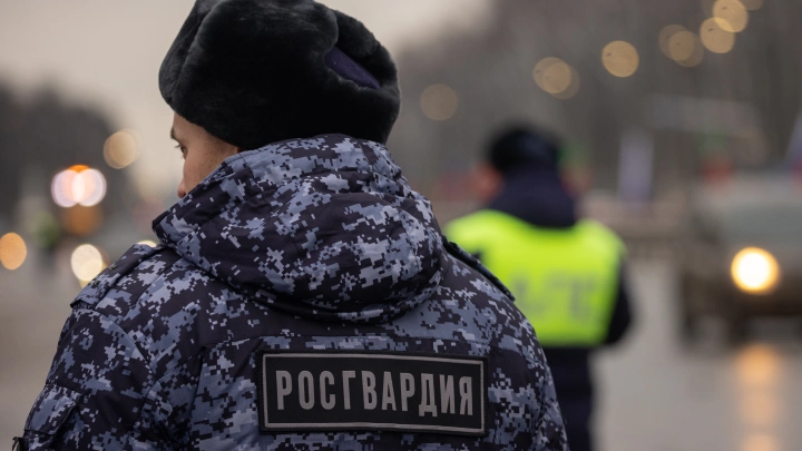 В Реутове задержали школьника из Таджикистана, планировавшего нападение на гимназию