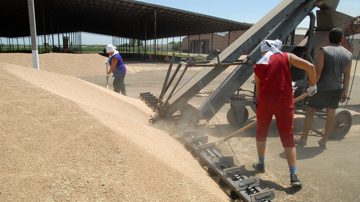 В Запорожской области появится второй логистический центр зернового оператора