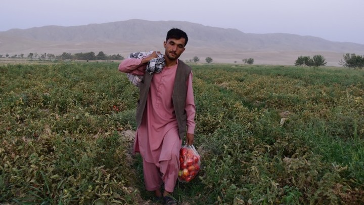 США заставляют страдать невинных афганцев: Русские дипломаты призвали Штаты вернуть долг Афганистану