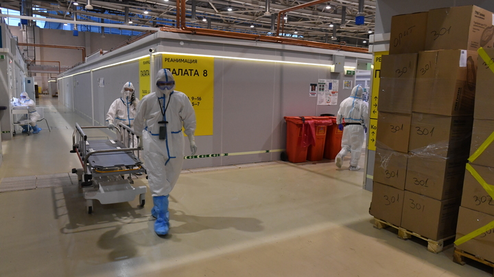 На Кубани коронавирус за сутки подтверждён у 25 человек