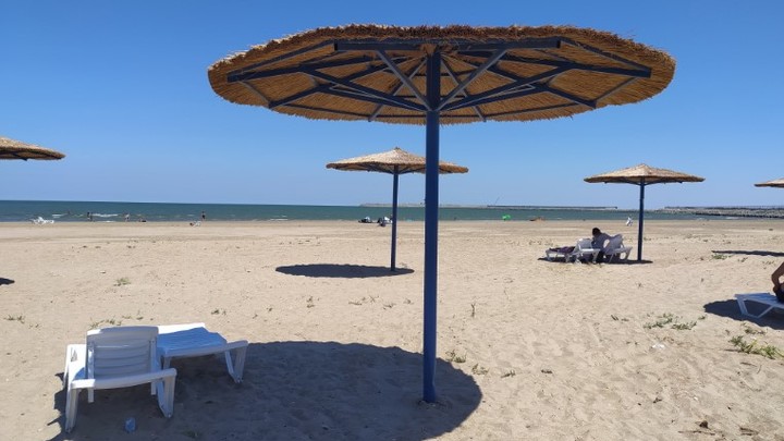 В России предложили жёстко наказывать за плотские утехи в публичных местах