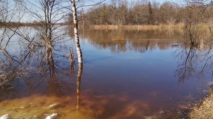 Двойной запас снега грозит превратить половодье в бедствие во Владимирской области