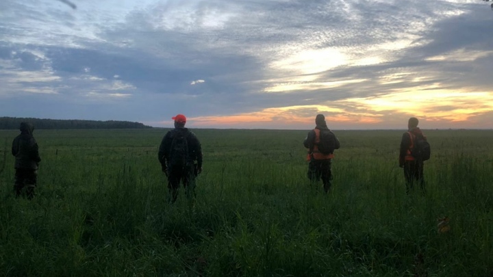 Лиза Алерт просит добровольцев помочь в поисках пропавшего Савелия Роговцева
