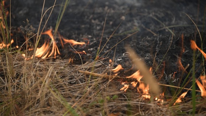 В России готовят новые требования к сигаретам: Чтобы не горели