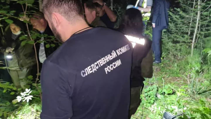 В Ульяновской области пропала без вести 12-летняя девочка, СК возбудил дело