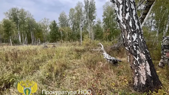 Житель Новосибирской области на охоте застрелил знакомого вместо медведя