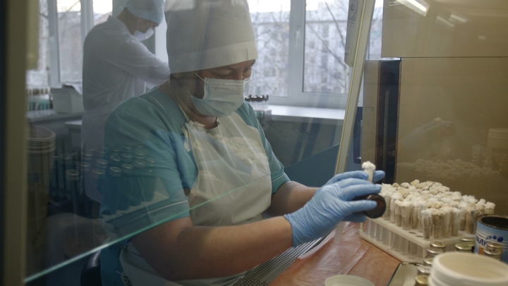 Жители Екатеринбурга пожаловались на обязательные платные анализы для малышей перед садиком