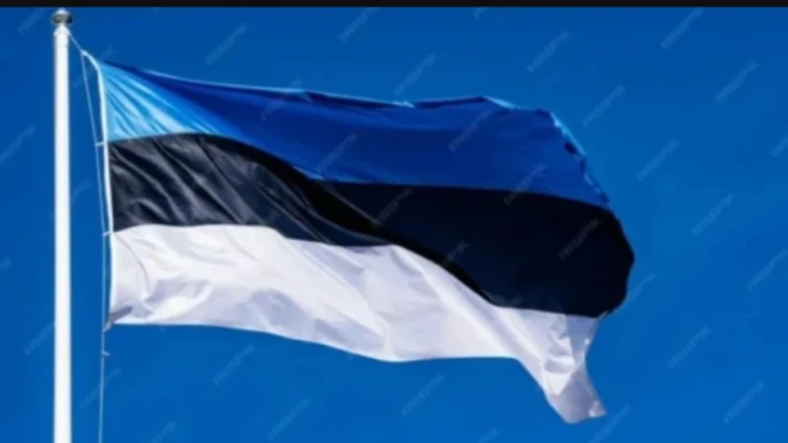 Эстония объявила воздушную тревогу, пока Россия сбивала дроны ВСУ у границы