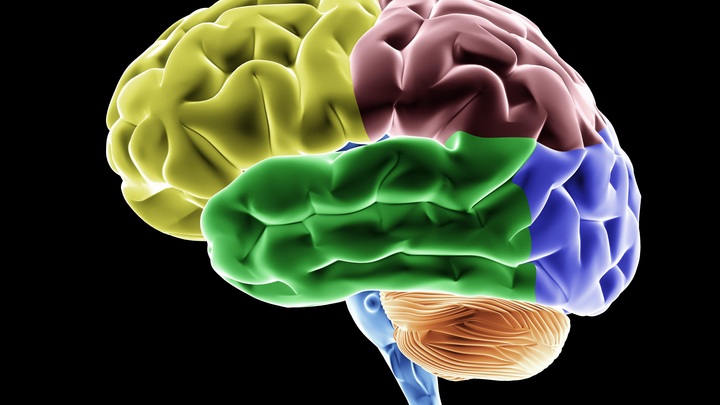 Нейросеть против рака: Создан ИИ, способный определить подтип опухоли прямо во время операции