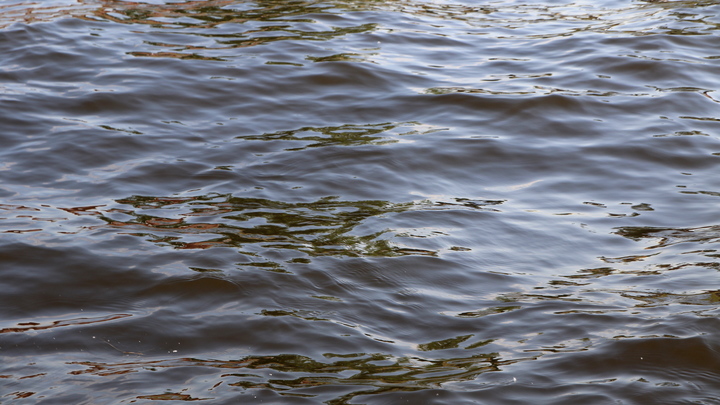 Трое детей пропали на реке в Приморском крае