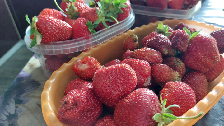 Как проверить апрельскую клубнику на качество и безопасность