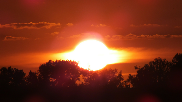 Нигде такой жары больше не будет: Синоптик рассказал, где в России ожидается аномальная погода