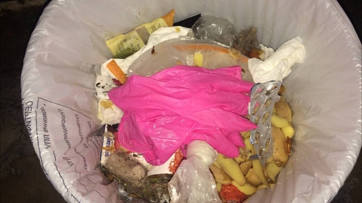 Жителей Петербурга завалило мусором: Коммунальщики отправились на каникулы?